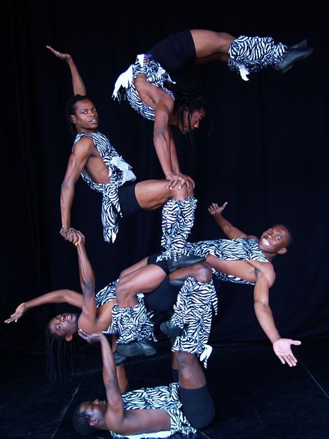 Entertainment Agency: Booking Agency for Wild Circus Act
