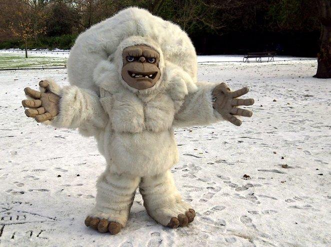 booking agent for yeti