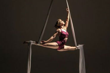 Hire / Book nicole aerial rope silk and trapeze