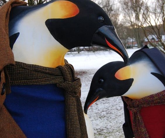 Booking for the Christmas penguins
