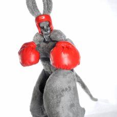 Booking agent for boxing kangaroos