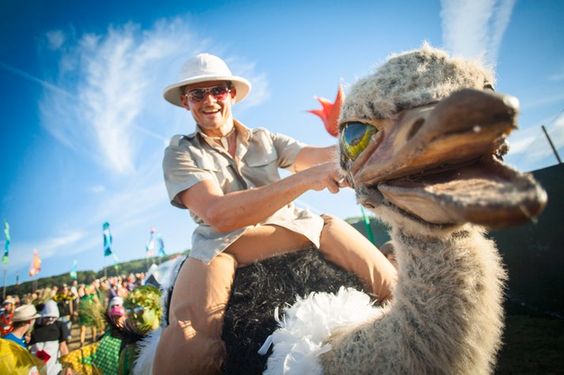 Booking agent for ostrich jockeys