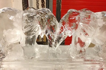 Hire / Book ice model and ice sculptors