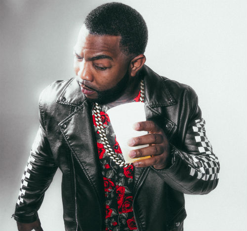 Gorilla zoe lada de
