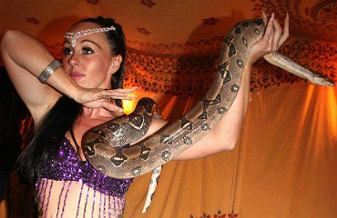 hire snake performers tory and james